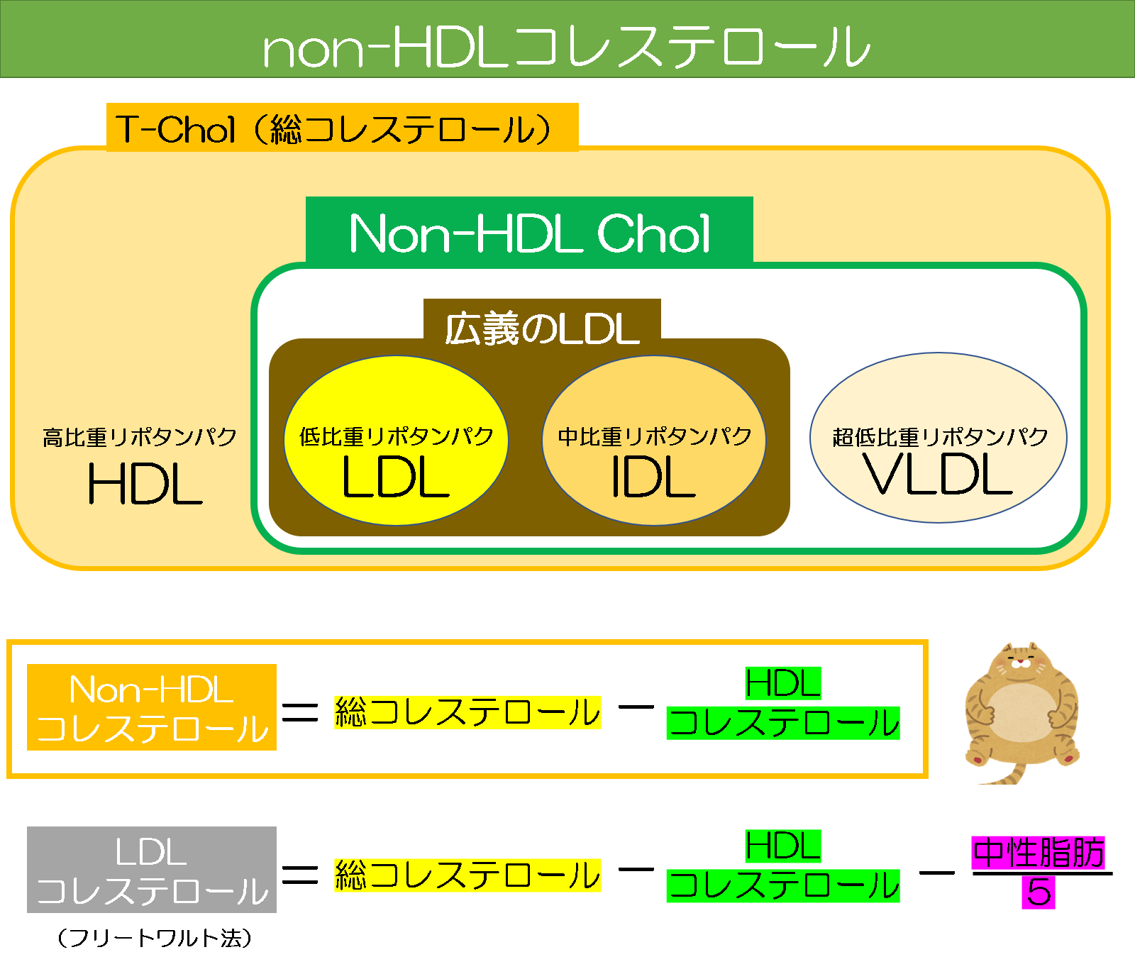 Non-HDLコレステロール